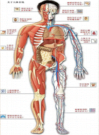 image008.gif