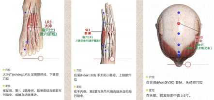 image014.gif