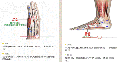 image022.gif